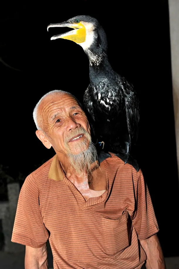 Bătrân maestru dresor de cormorani