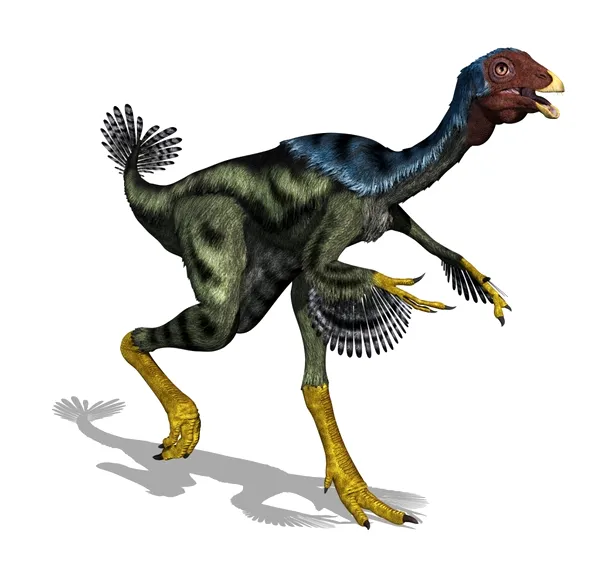 Dinozaurii theropozi cu pene sunt consideraţi strămoşii păsărilor.