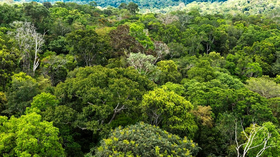 Poveştile oamenilor ce au supravieţuit în mod miraculos în sălbăticie