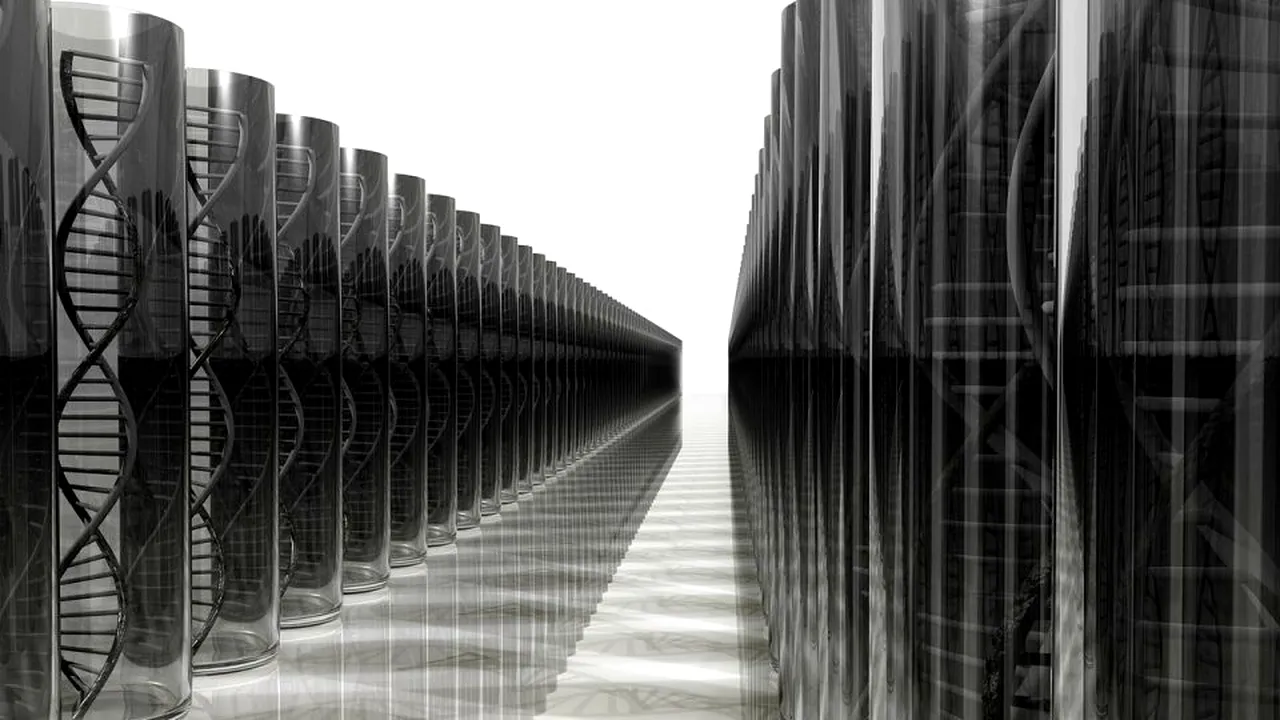 1-adn-informatii-pixabay-descopera 