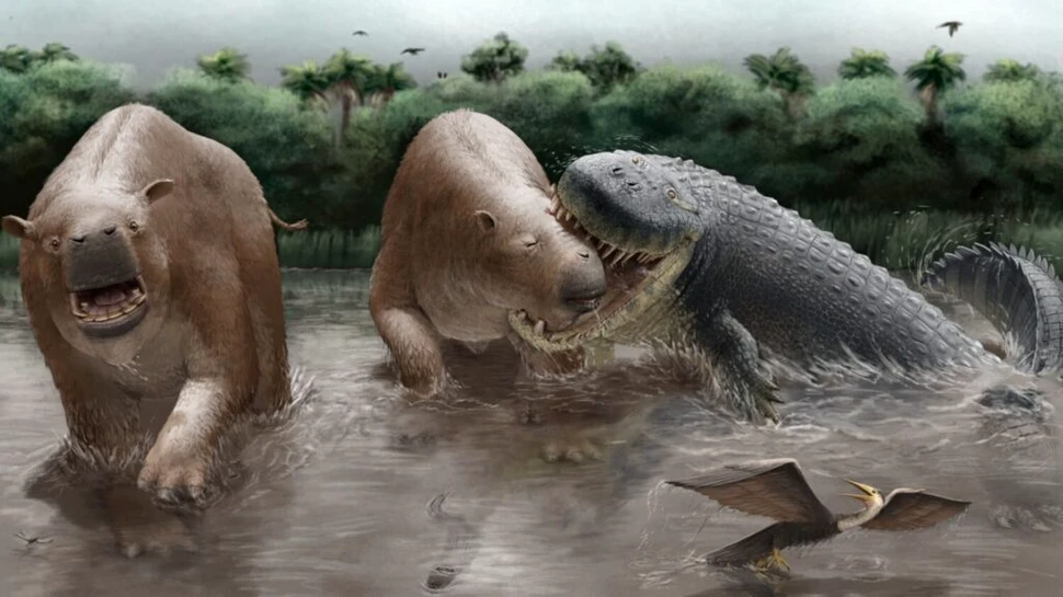 Acești crocodilienii uriași dominau lanțul trofic în America de Sud din Miocen