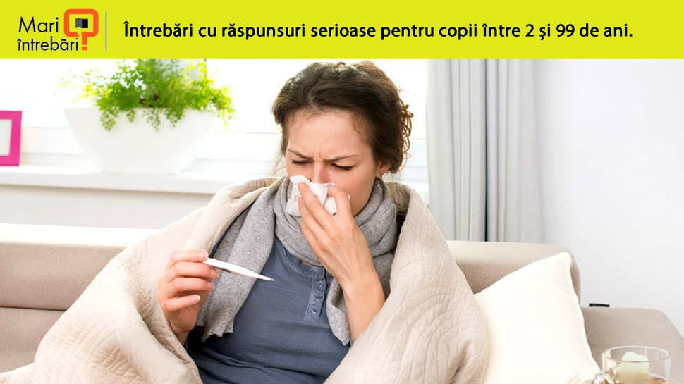 De ce ne curge nasul când răcim?