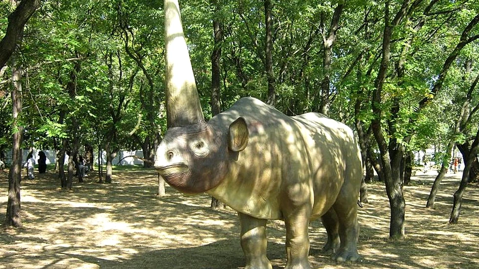 Când a dispărut ultimul ”unicron” de pe Pământ. Analizele realizate asupra unei fosile rescriu teoriile anterioare privind dispariţia mamiferului