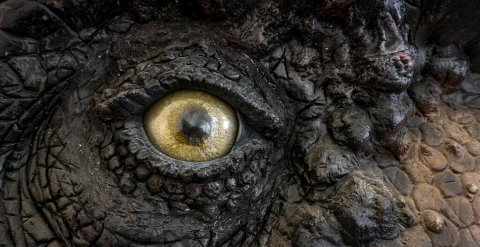 „Jurassic Park” s-a înșelat: Vederea lui T-Rex nu se baza pe mișcare