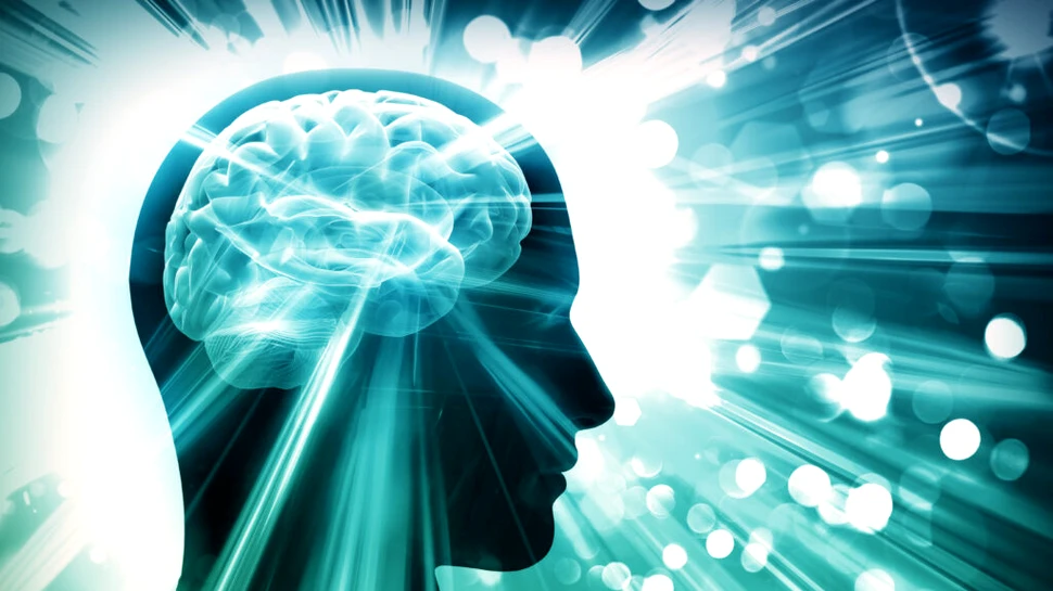 Creierul bărbaților versus creierul femeilor: Care sunt diferențele?