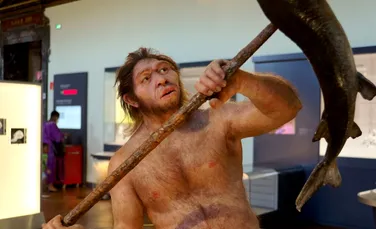 Putea Homo erectus să vorbească?