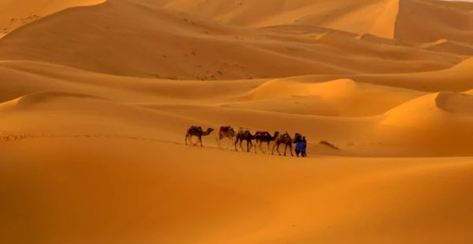 Noi dovezi ale lacurilor uriase care acopereau Sahara preistorica ies la iveala