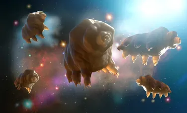 Modul ciudat prin care tardigradele supraviețuiesc radiațiilor