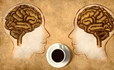 Cum funcţionează în realitate cofeina în corpul oamenilor