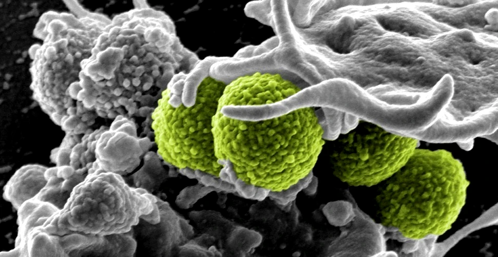 Cum ne apărăm de „super-microbii” rezistenţi la antibiotice?