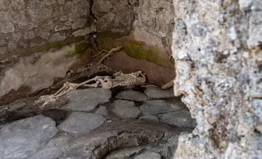 Au fost descoperite noi victime ale dezastrului de la Pompeii