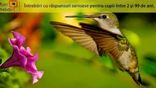 Care este singura specie de pasăre care poate zbura în sens invers?