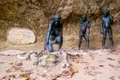 Secretul extincției neanderthalienilor: Care ar fi fost o posibilă cauză pentru dispariția speciei?