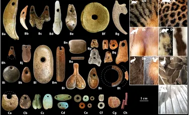 Mărgelele de lut vechi de 15.000 de ani ar putea dezvălui originile agriculturii