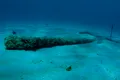O ancoră antică a fost găsită pe fundul Mării Nordului. Cât de veche este?