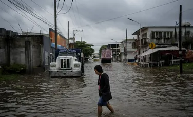 Crocodilii au invadat orașele din nordul Mexicului după ploile abundente