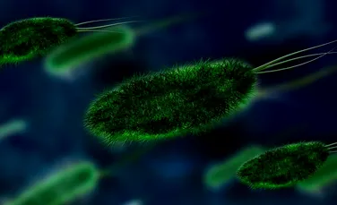 Modurile în care poate fi evitată răspândirea microbilor