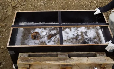 Misterul copilului cu ochi albaștri, îngropat acum 1.350 de ani alături de comori rare în Bavaria