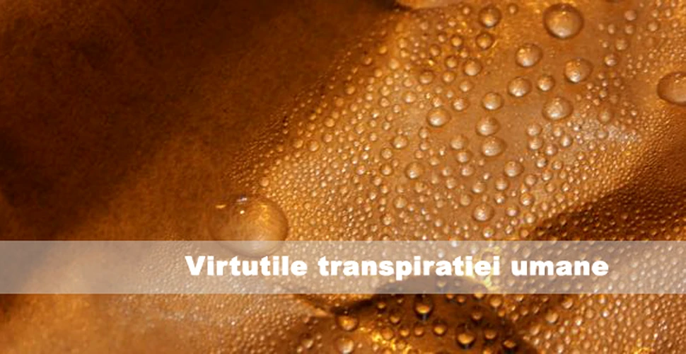 Virtutile transpiratiei umane
