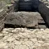 Un bazin roman monumental, ascuns timp de 2.000 de ani, a fost dezgropat lângă Roma