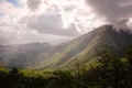 Jamaican Blue Mountain: de ce una dintre cele mai exclusiviste cafele din lume este cultivată printre nori