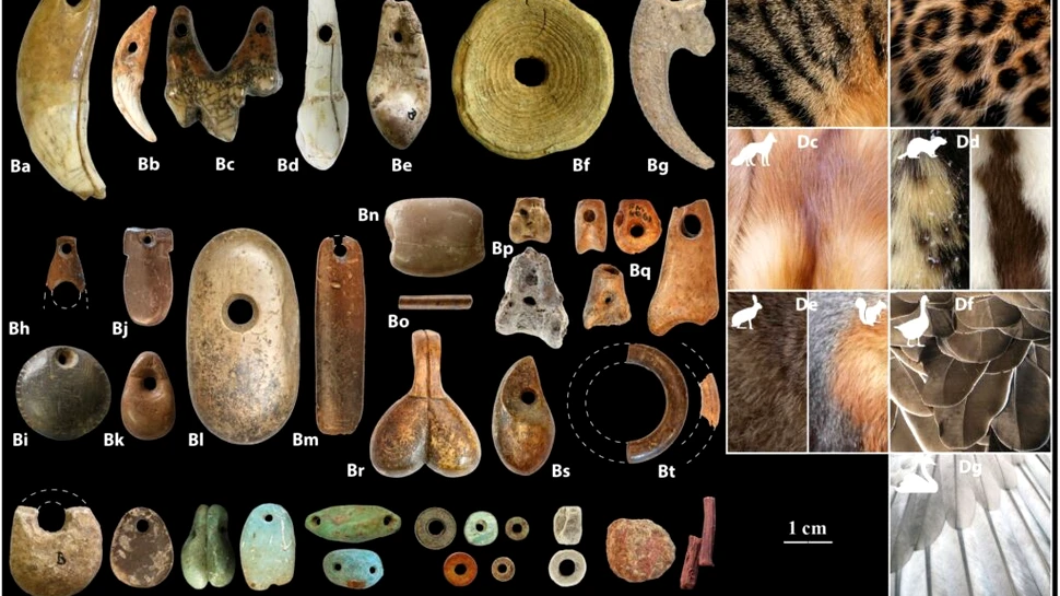 Mărgelele de lut vechi de 15.000 de ani ar putea dezvălui originile agriculturii