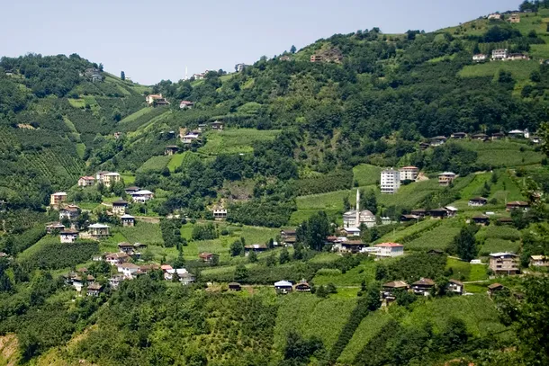 Regiunea muntoasă Trabzon, din nordul Turciei, unde se produce „mierea nebunilor”
