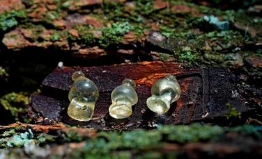 Pandantive de sticlă unice din epoca scitică au fost găsite în Ucraina