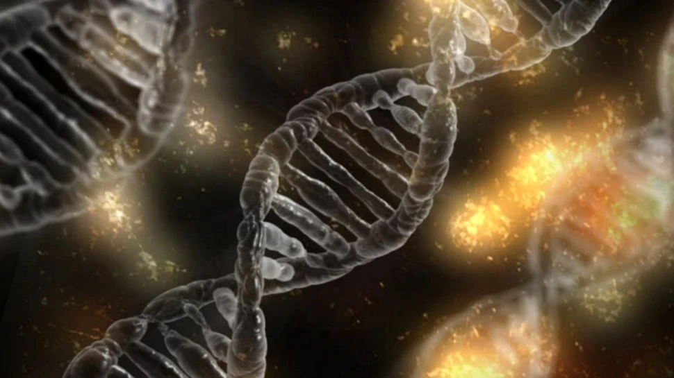 Omenirea încă evoluează, dar cercetătorii nu înţeleg motivul ce stă la baza procesului