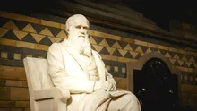 Charles Darwin s-a înșelat! Ce a descoperit un nou studiu?