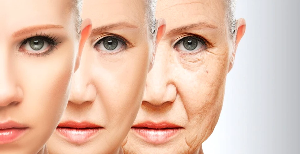 Un studiu fără precedent sugerează că procesul de îmbătrânire nu poate fi oprit