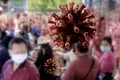 Plante medicinale și antigripale pentru chinezi, în lupta cu coronavirusul