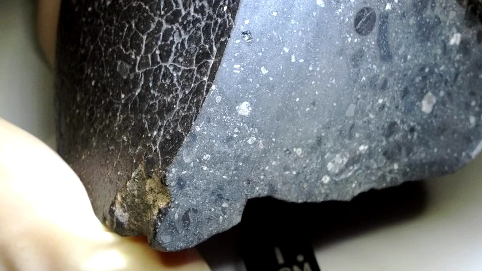 Un meteorit antic sugerează că apa ar fi existat pe Marte înainte ca viața să apară pe Pământ