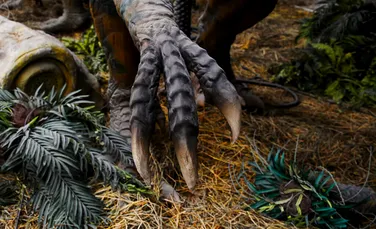 Un studiu arată că unii dinozauri își foloseau ghearele pentru a săpa, iar alții pentru a părea mai amenințători