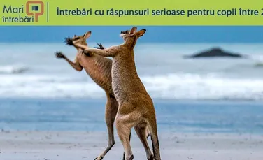 Care animal are trei vagine?