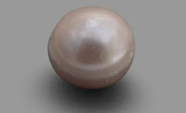Cea mai veche perlă din lume