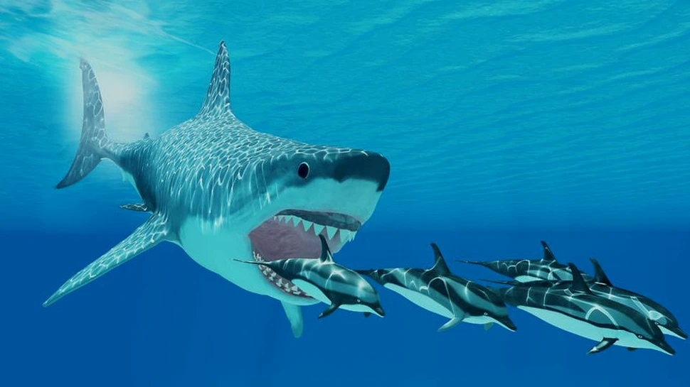 Lanţul trofic marin se află pe punctul de a fi distrus din cauza schimbărilor climatice