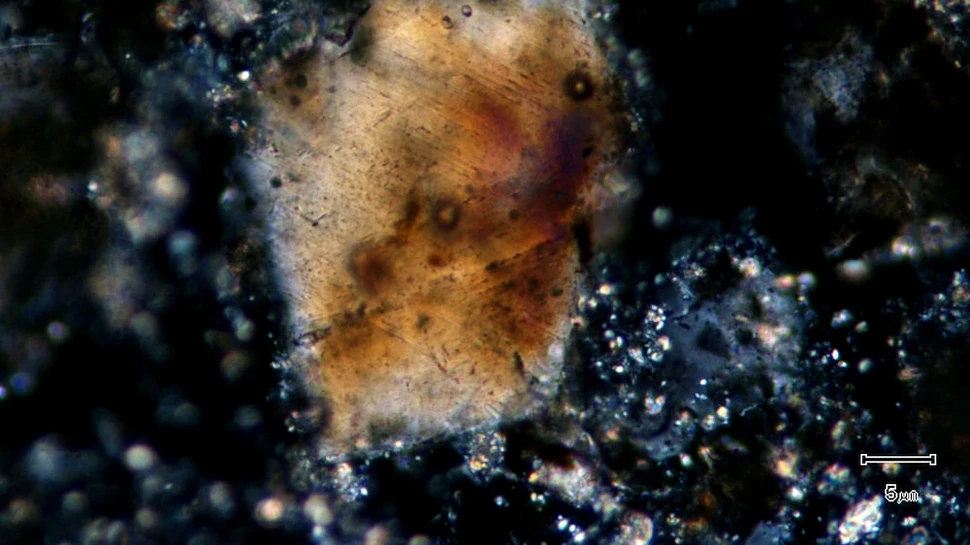 Asteroidul care a dus la extincţia dinozaurilor a găurit întreaga scoarţă terestră