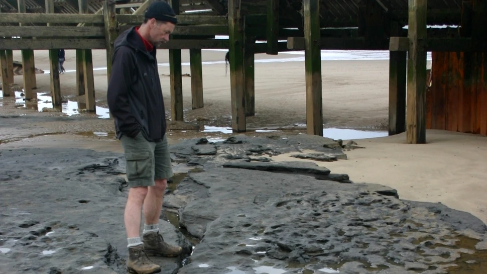 Descoperire extraordinară în Marea Britanie: cele mai vechi urme de paşi umani descoperite în afara Africii (VIDEO)