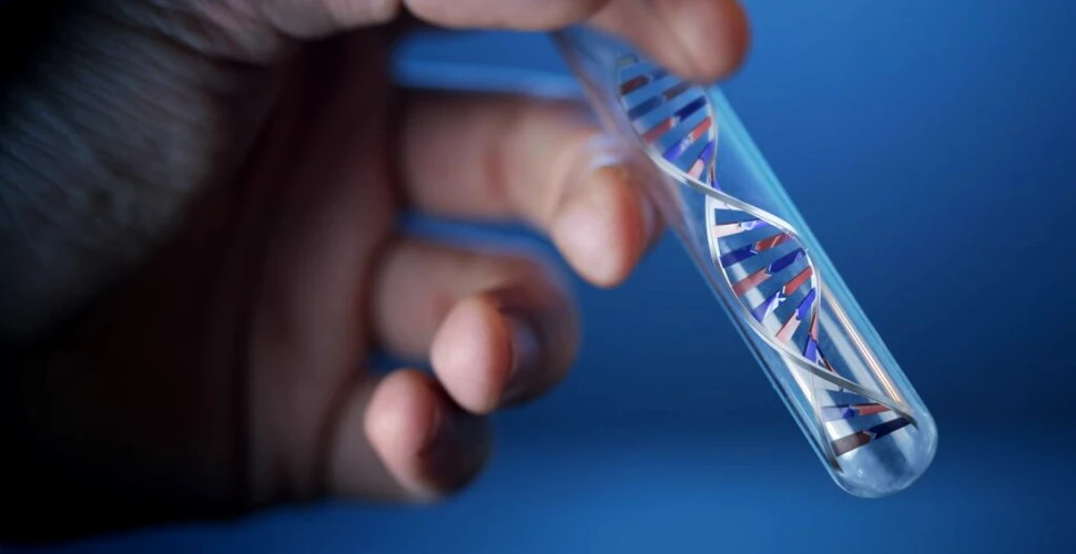 Cercetătorii au descoperit cum să creeze cromozomi umani artificiali