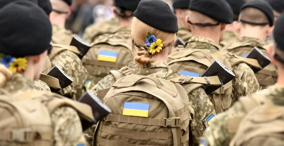 Floarea-soarelui și motivele pentru care aceasta este floarea națională a Ucrainei