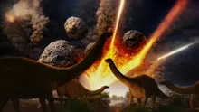 De ce șopârlele au supraviețuit dar dinozaurii au dispărut după impactul asteroidului?