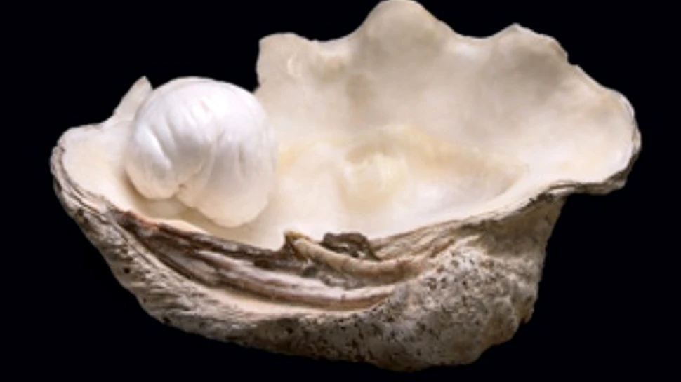 Vicecampiona mondiala a perlelor este scoasa la vanzare