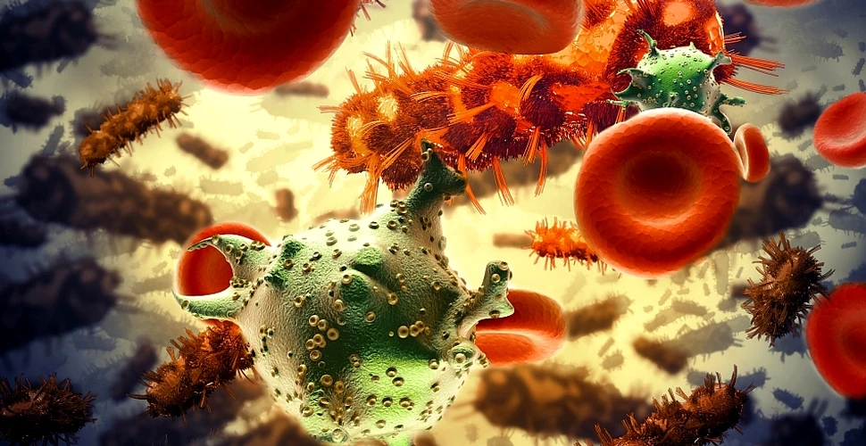 Imagine extrem de clară a unei proteine-cheie a virusului care produce SIDA, captată de americani