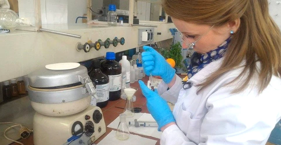 Un grup de specialişti din Cluj vrea să extragă vitamina C din pătrunjel
