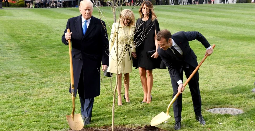 Stejarul care simboliza prietenia dintre Donald Trump şi Emmanuel Macron s-a uscat