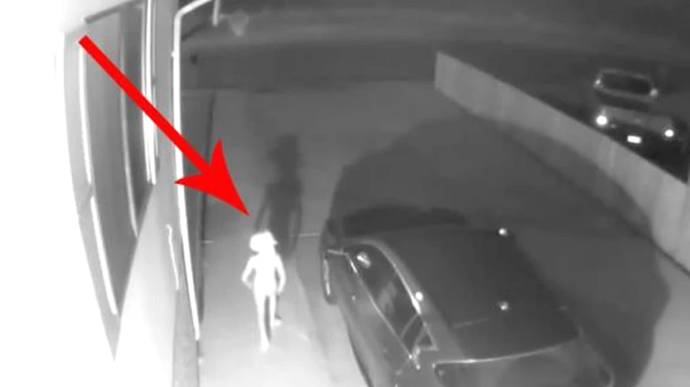 Creatura ”Dobby”, surprinsă pe camera de securitate a unei femei