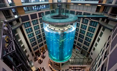 Cel mai mare acvariu cilindric din lume a explodat. 1.500 de pești exotici se aflau la interior