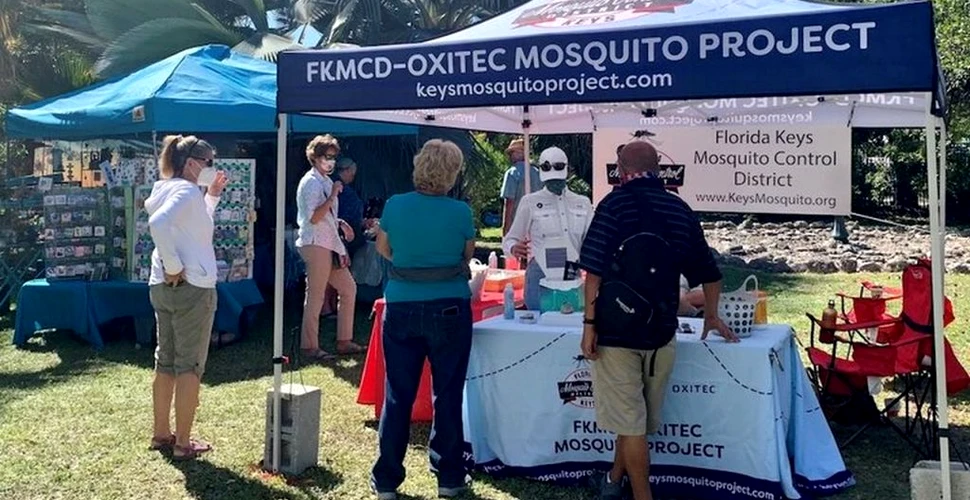 500 de milioane de țânțari modificați genetic vor fi eliberați în Arhipelagul Florida Keys, iar locuitorii sunt furioși