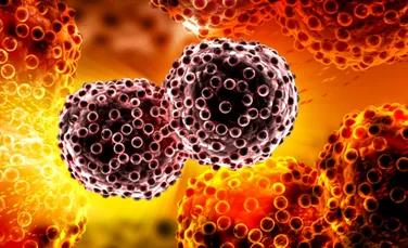 Microplasticele se acumulează în celulele canceroase și le pot ajuta să se răspândească, sugerează un studiu